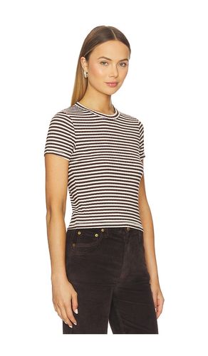 Luca stripe rib baby tee in color brown size XS (also in S) - Rag & Bone - Modalova