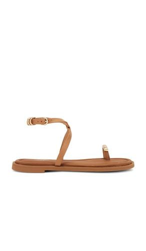 Ring Sandal in . - size 35 (also in 36, 36.5, 37.5) - Rag & Bone - Modalova