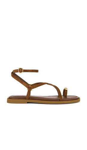 Geo Strappy Ring Sandal in . Size 37.5, 39, 40 - Rag & Bone - Modalova