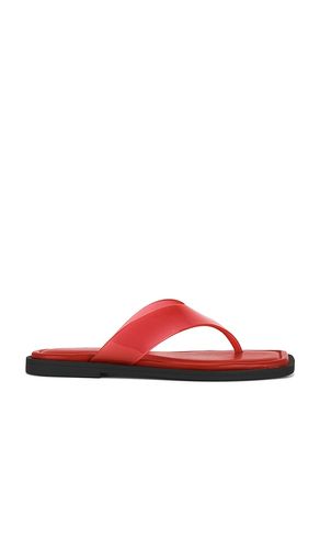 Gracie Jelly Thong in . Size 39. Also in 41 - Rag & Bone - Modalova