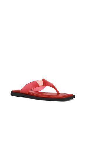 Gracie Jelly Thong in . Taglia 38. Also in 39, 41 - Rag & Bone - Modalova
