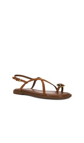 Remi Flat Sandal in . Taglia 36. Also in 37, 38, 39, 40, 41 - Rag & Bone - Modalova