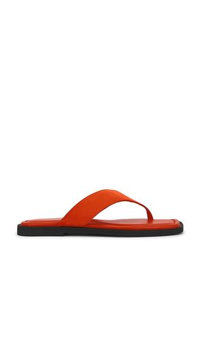 Gracie Thong Sandal in . Size 36. Also in 36.5, 37, 41 - Rag & Bone - Modalova