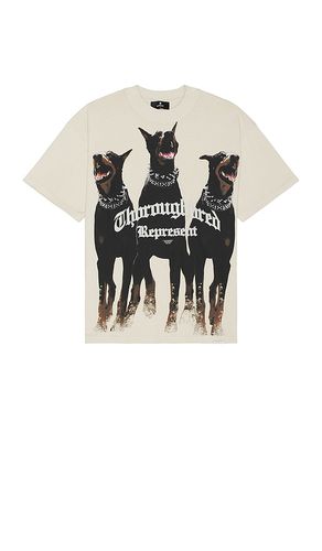 Thoroughbred T-Shirt in White. - size M (also in XL/1X) - REPRESENT - Modalova