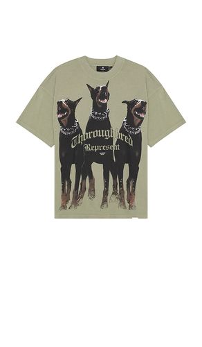 Thoroughbred T-Shirt in Olive. - size L (also in M, S, XL/1X) - REPRESENT - Modalova