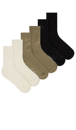 Classic 3 Pack Socks in Black - Rhythm - Modalova