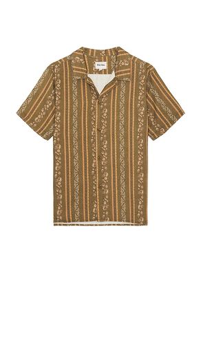 Paisley Stripe Short Sleeve Shirt in Brown. - size L (also in M, XL/1X) - Rhythm - Modalova