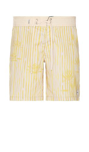 Lily Stripe Swim Trunk in Yellow. - size 30 (also in 32, 34, 36) - Rhythm - Modalova