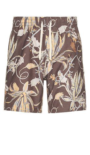 Oasis Beach Short in Brown. - size 30 (also in 32, 34) - Rhythm - Modalova