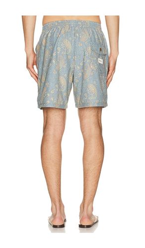 SHORTS TALLY in . Größe 30. Also in 32, 34, 36 - Rhythm - Modalova