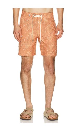 BADEHOSE TALLY in . Größe 30. Also in 32, 34, 36 - Rhythm - Modalova