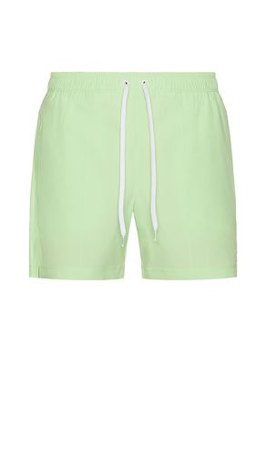 R&R Swim Trunk in Green. - size L (also in M, XL/1X) - Rhone - Modalova