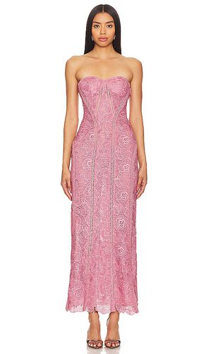 X Revolve Paris Lace Midi Dress in Mauve. - size M (also in S, XL, XS) - ROCOCO SAND - Modalova