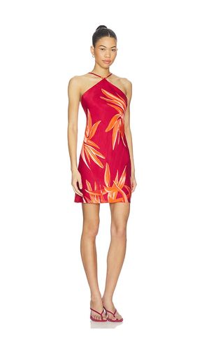 Bias Halter Mini Dress in . Size L. Also in S, XS - ROCOCO SAND - Modalova