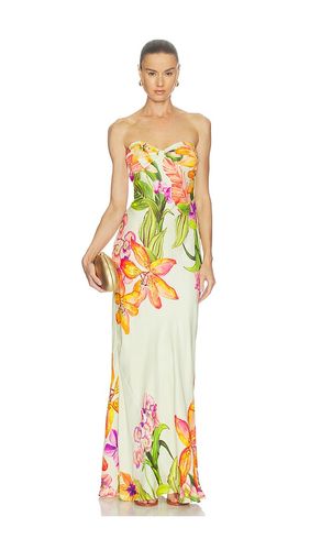 Strapless Maxi Dress in Lemon. - size S (also in XXS, XS, M, L) - ROCOCO SAND - Modalova