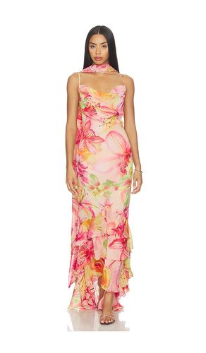 Cowl Maxi Dress With Sash in . - size S (also in XS, M, XL) - ROCOCO SAND - Modalova