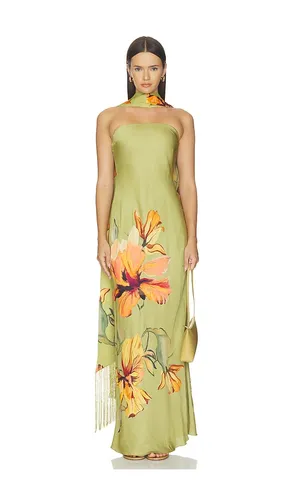 Strapless Maxi Dress With Fringe Sash in . - size M (also in XS, XXL) - ROCOCO SAND - Modalova