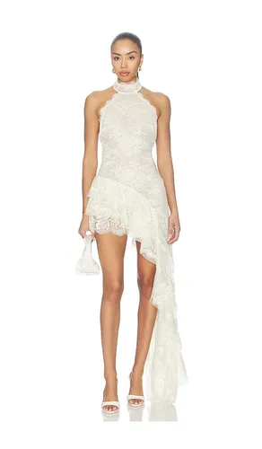 Anselmo Lace Dress in . - size L (also in M, S, XL, XS) - retrofete - Modalova