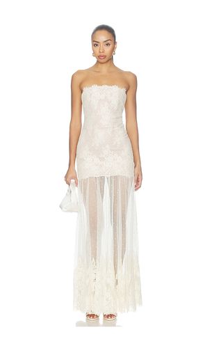 Vespera Lace Dress in . Size L. Also in M, XL, XXS - retrofete - Modalova