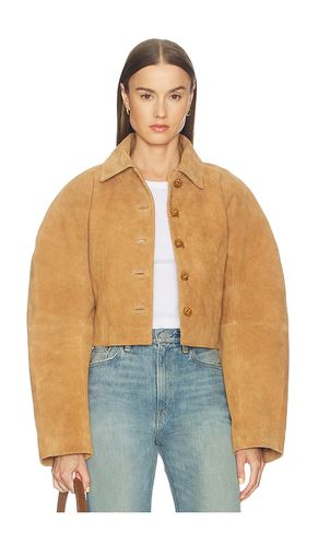 Rounded Textured Suede Jacket in Beige. - size 38 (also in 40) - Rohe - Modalova