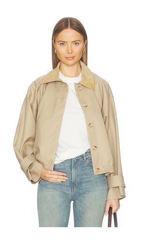 Suede Collar Blouson Jacket in . Size 34. Also in 36, 38 - Rohe - Modalova