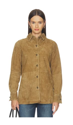 SUEDE OVERSHIRT PANKOU in . Größe 32. Also in 34, 36, 38 - Rohe - Modalova