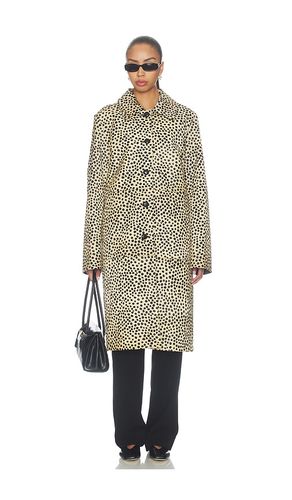 Pony Hair Coat in in Brown. - size 32 (also in 34, 36) - Rohe - Modalova