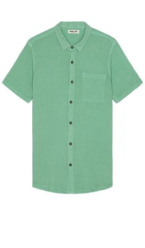 Bon Crepe Shirt in . Size XL/1X - ROLLA'S - Modalova