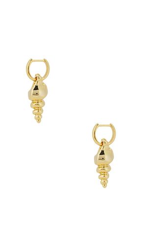 Conch Earrings in - Roxanne Assoulin - Modalova