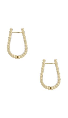 Ribbed Earrings in - Roxanne Assoulin - Modalova