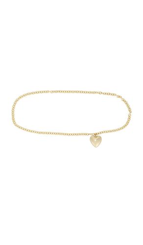 The cable chain belt in color metallic size all - Roxanne Assoulin - Modalova