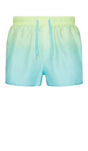 Neo Boardshort in Green. - size L (also in M, XL/1X) - Runaway The Label - Modalova