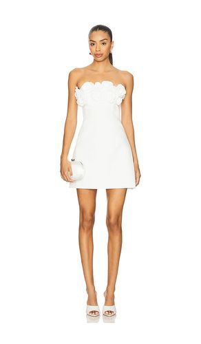 Averie Mini Dress in . - size L (also in M, S, XL, XS, XXL) - Runaway The Label - Modalova