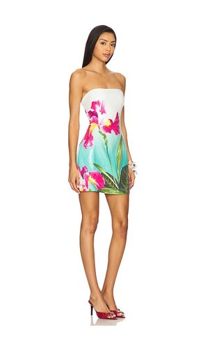 Ibiza Mini Dress in ,. Size M. Also in S, XS - Runaway The Label - Modalova