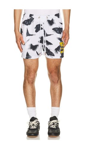 SHORTS FOREVER INSPIRED in . Größe M. Also in L, XL/1X - Ryoko Rain - Modalova