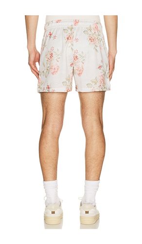 Shorts in . Size S. Also in M, L, XL/1X - Ryoko Rain - Modalova