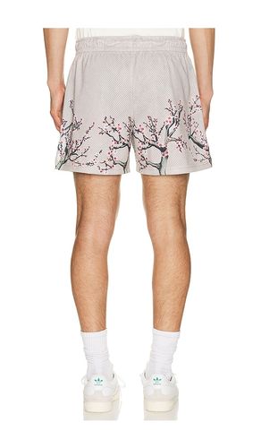 Cherry Blossom Shorts in . Size M. Also in L - Ryoko Rain - Modalova