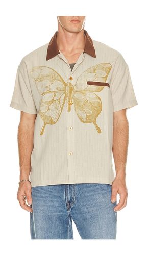 Butterfly Pinstripe Button Up Shirt in . Size L. Also in M, S, XL/1X - Ryoko Rain - Modalova