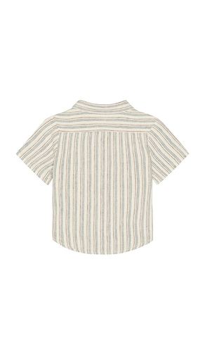 Collared Short Sleeve Shirt in . Size 12-18M. Also in 2-3yr - Rylee + Cru - Modalova