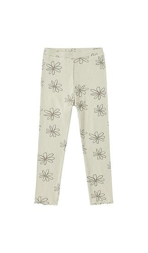 Kids Coast Ribbed Legging in Green. - size 2-3yr (also in 4-5yr) - Rylee + Cru - Modalova