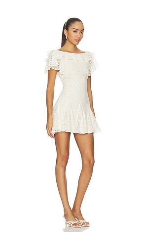 X REVOLVE Casia Mini Dress in . Size L. Also in M, S, XL, XS, XXS - Stone Cold Fox - Modalova