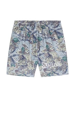 Tribal Shorts in Brown. - size L (also in M, S, XL/1X) - Stay Cool - Modalova