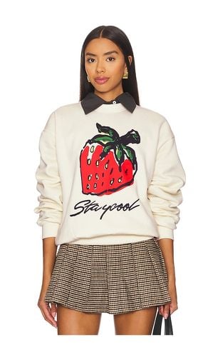 Scratch N Sniff Strawberry Sweatshirt in . - size L (also in XL/1X) - Stay Cool - Modalova