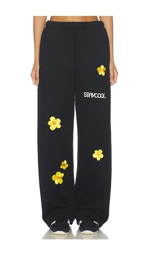 Sunflower Straight Sweatpants in . Size S. Also in M, L - Stay Cool - Modalova