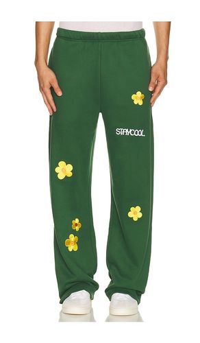 Sunflower Sweatpant in . Size S. Also in XL/1X - Stay Cool - Modalova