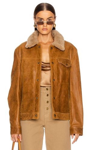Waxy Vintage Buffalo Trucker in Brown. - size L (also in M, S, XL, XXL) - Schott - Modalova