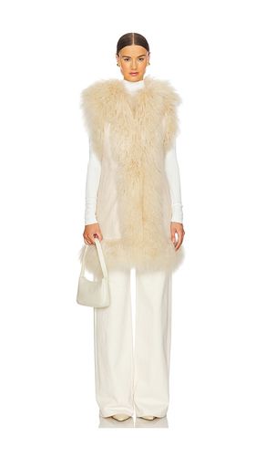 Dorothy Shearling Suede Midi Vest in . - size L (also in M, S) - Susanna Chow - Modalova