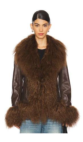 Dorothy Leather Coat With Fur Trim in . - size M (also in S, L) - Susanna Chow - Modalova