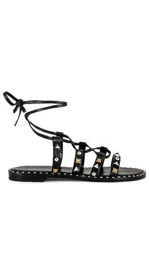 Makeena Sandal in . - size 10 (also in 6, 8.5, 9.5) - Schutz - Modalova