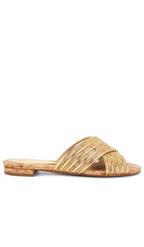 Latifah Flat Sandal in Metallic Gold. - size 10 (also in 6, 6.5, 7, 7.5, 8, 8.5, 9, 9.5) - Schutz - Modalova